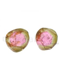 2 pcs - Watermelon (Bi-Color) Tourmaline Slices - 19.00 cts - 10.4 x 7.4 x 2.6 mm (TOUSL1015)