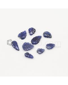 8 x 6 mm to 11.50 x 9.60 mm - Dark Blue Sapphire Leaf Shape - 14 Pieces - 14.24 carats (SCar1051)