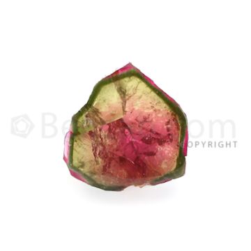 1 pc - Watermelon (Bi-Color) Tourmaline Slices - 44.50 cts - 25.8 x 24.6 x 7 mm (TOUSL1001)