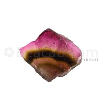 1 pc - Watermelon (Bi-Color) Tourmaline Slices - 41.00 cts - 31.7 x 26.3 x 7.2 mm (TOUSL1005)