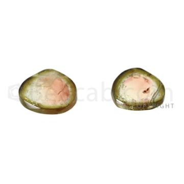 2 pcs - Watermelon (Bi-Color) Tourmaline Slices - 16.00 cts - 15.6 x 14.6 x 3.1 mm (TOUSL1025)