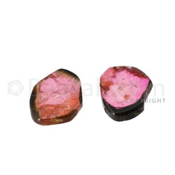 2 pcs - Watermelon (Bi-Color) Tourmaline Slices - 13.00 cts - 16.2 x 13.2 x 3 mm (TOUSL1038)