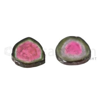 2 pcs - Watermelon (Bi-Color) Tourmaline Slices - 10.50 cts - 13 x 12.6 x 3.2 mm (TOUSL1026)