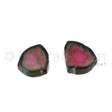 2 pcs - Watermelon (Bi-Color) Tourmaline Slices - 10.50 cts - 10.8 x 10.8 x 4.7 mm (TOUSL1019)