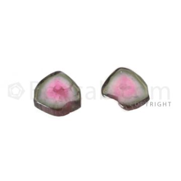 2 pcs - Watermelon (Bi-Color) Tourmaline Slices - 6.00 cts - 10.2 x 9 x 3.1 mm (TOUSL1024)