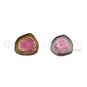 2 pcs - Watermelon (Bi-Color) Tourmaline Slices - 7.00 cts - 12.1 x 11.4 x 3.1 mm (TOUSL1027)