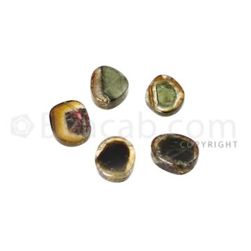 3 pcs - Watermelon (Bi-Color) Tourmaline Slices - 7.71 cts - 7.9 x 6.7 x 3 mm to 8.5 x 6.8  2.9 mm (TOUSL1075)
