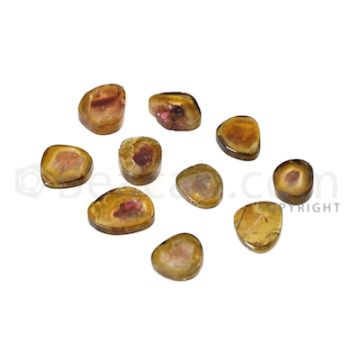 10 pcs - Watermelon (Bi-Color) Tourmaline Slices - 15.64 cts - 7.3 x 6.3 x 3 mm to 10.3 x 7.8 x 2.5 mm (TOUSL1072)