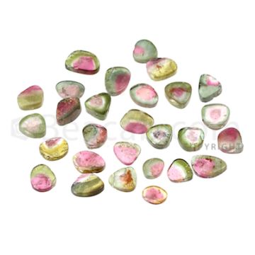 28 pcs - Watermelon (Bi-Color) Tourmaline Slices - 40.50 cts - 6.9 x 5.2 x 2 mm to 10.6 x 7.2 x 2.3 mm (TOUSL1063)