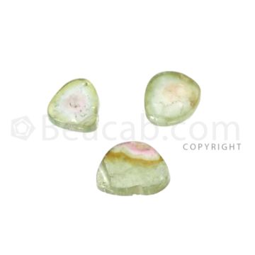 3 pcs - Watermelon (Bi-Color) Tourmaline Slices - 4.00 cts - 7.6 x 7 x 2.5 mm to 9.2 x 7.1 x 2.5 mm (TOUSL1055)