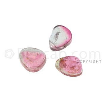 3 pcs - Watermelon (Bi-Color) Tourmaline Slices - 4.89 cts - 9 x 7.2 x 1.6 mm to 8.7 x 6.8 x 3 mm (TOUSL1084)