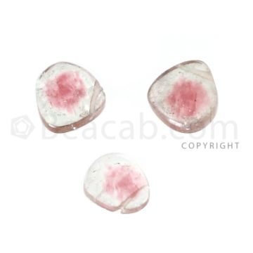 3 pcs - Watermelon (Bi-Color) Tourmaline Slices - 3.27 cts - 7.5 x 6.5 x 1.2 mm to 8.6 x 7.8 x 2 mm (TOUSL1085)