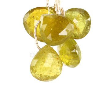 5 Pieces - Yellow Tourmaline Faceted Drops - 60.00 cts - 14.5 x 13 x 8 mm to 15 x 16 x 7.9 mm (TFD1284)