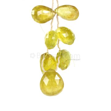 7 Pieces - Yellow Tourmaline Faceted Drops - 74.00 cts - 15 x 10.5 mm to 16.5 x 14.5 mm (TFD1287)