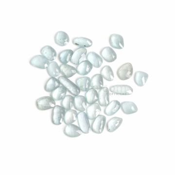 35 Pcs - Light Blue Aquamarine Rose Cut - 63.82 ct. - 10.8 x 7.6 mm to 7.2 x 5.9 mm (AQRC1020)