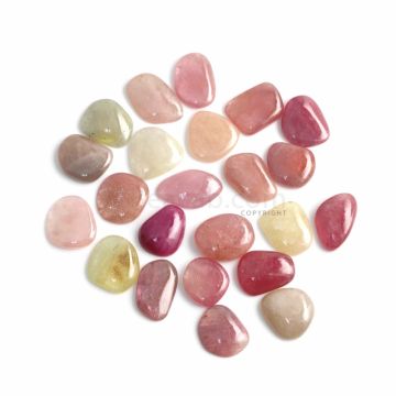 23 Pcs - Medium Tones Multi-Sapphire Slices - 322.77 ct. - 15.5 x 15.3 mm to 24 x 13 mm (MSPS1017)