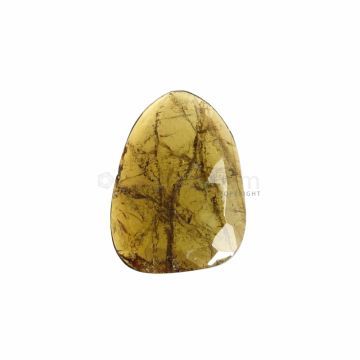 1 Pc - Dark Yellow Tourmaline Rose Cut - 8.44 ct. - 14.3 x 13.6 x 3.9 mm (TRC1001)